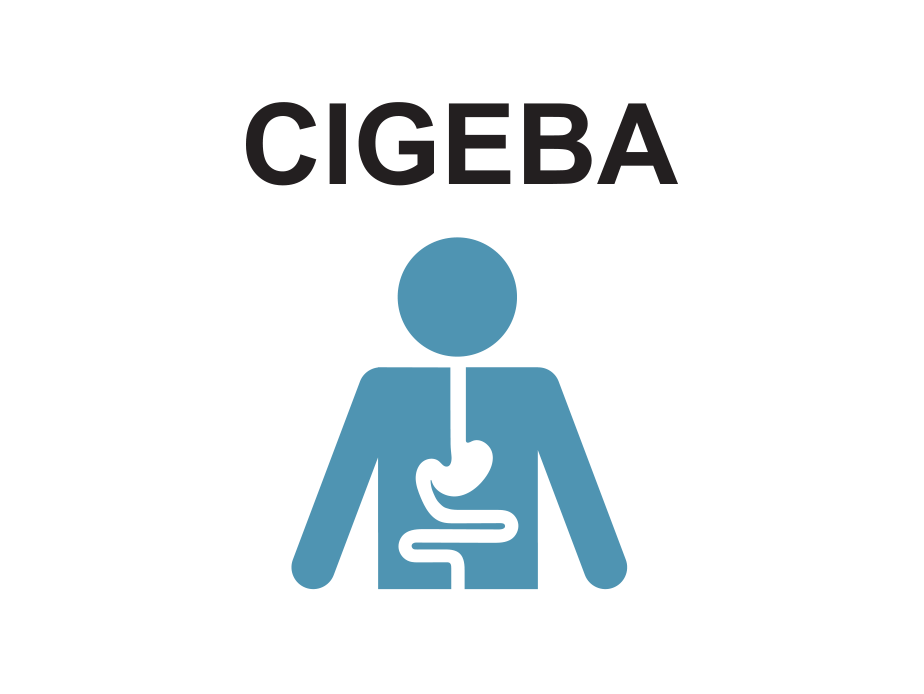 CIGEBA.png
